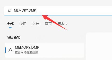 Win11系统怎么查看蓝屏文件？Win11查看蓝屏文件具体步骤