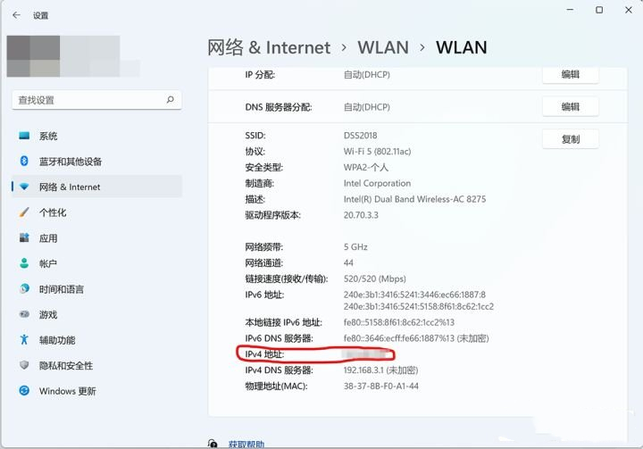 Win11网络与共享中心在哪里？Win11怎么打开网络共享？