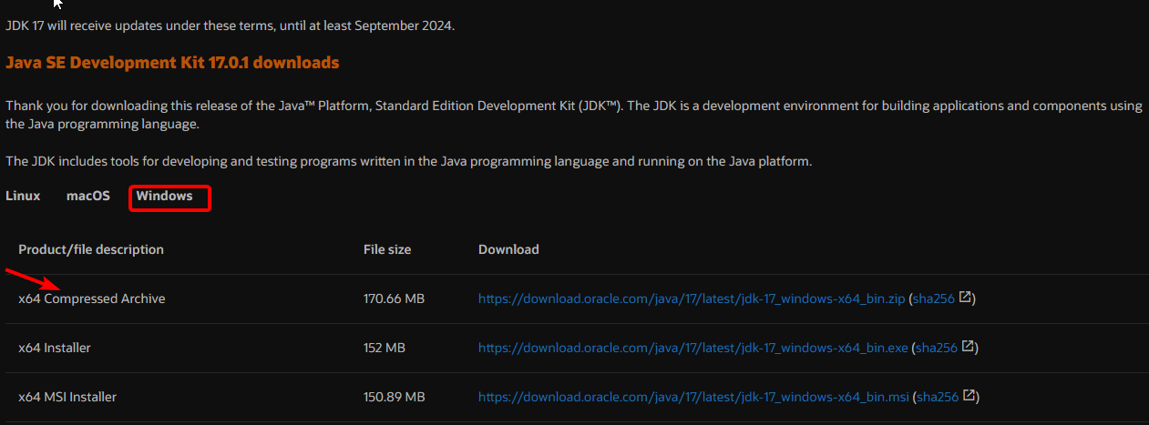 如何下载安装Java？Win11下载安装Java的详细步骤