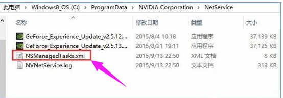 怎么解决Win10系统无法连接到 NVIDIA 错误