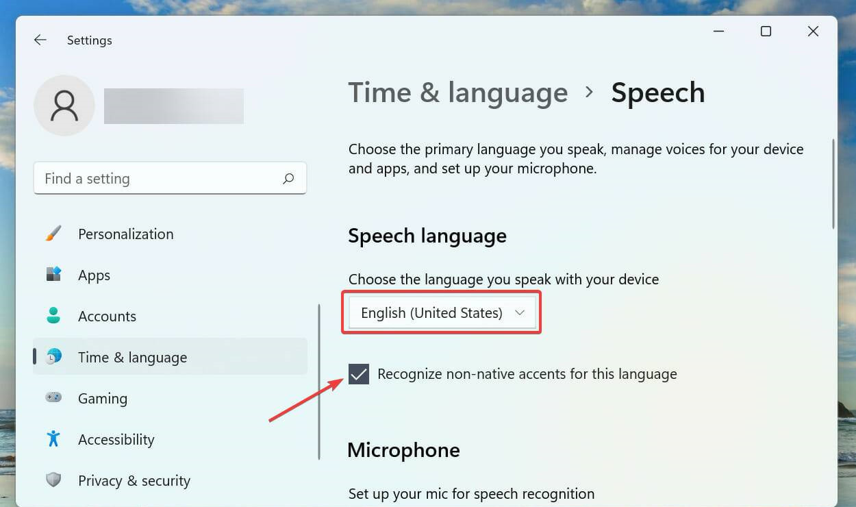 Win11无法使用语音输入怎么办？Win11语音输入没反应的解决教程