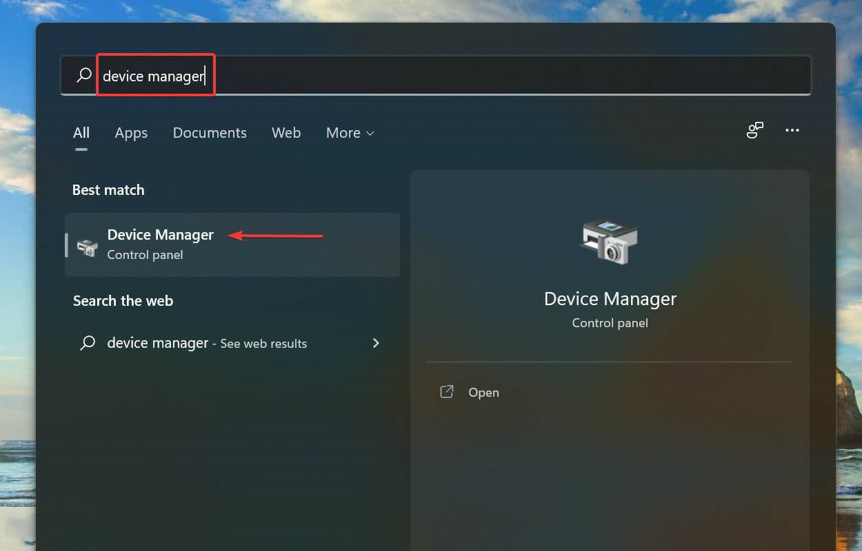 Win11无法使用语音输入怎么办？Win11语音输入没反应的解决教程