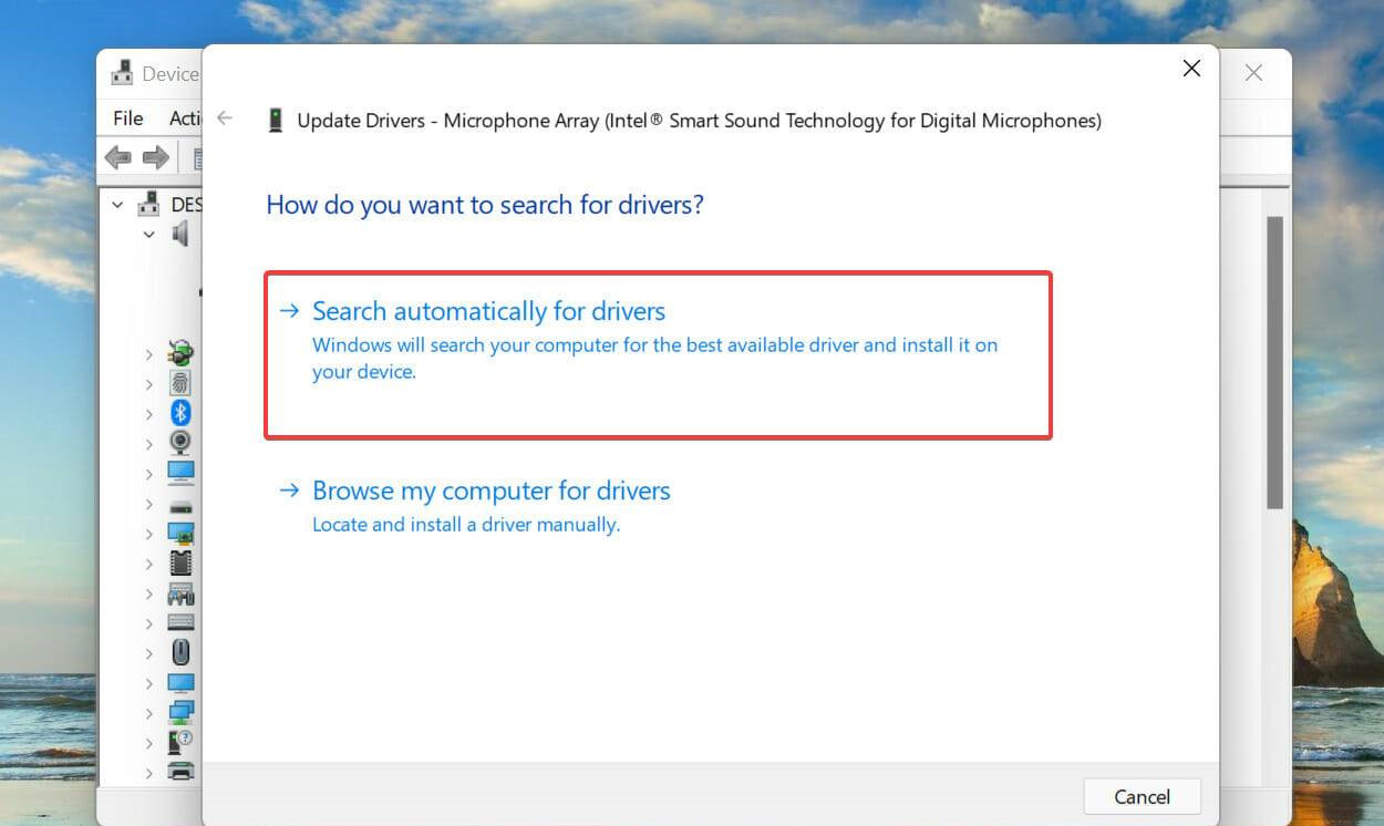 Win11无法使用语音输入怎么办？Win11语音输入没反应的解决教程