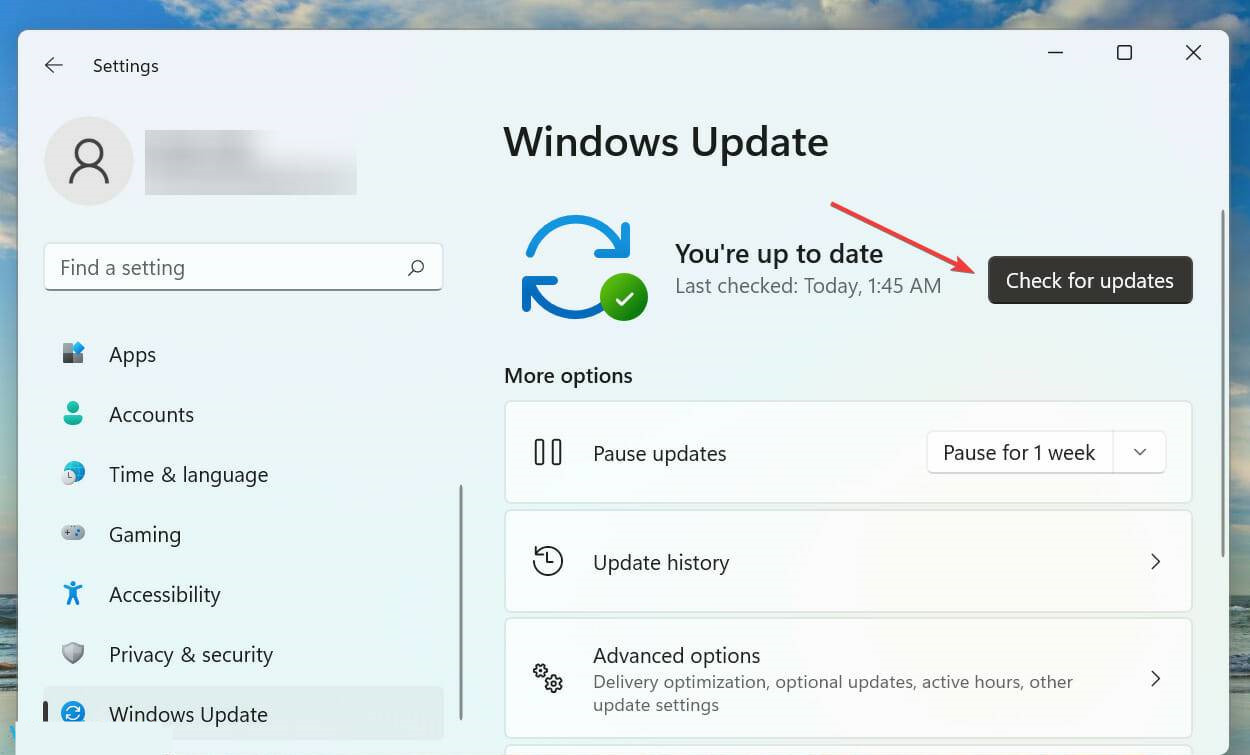 Win11无法使用语音输入怎么办？Win11语音输入没反应的解决教程