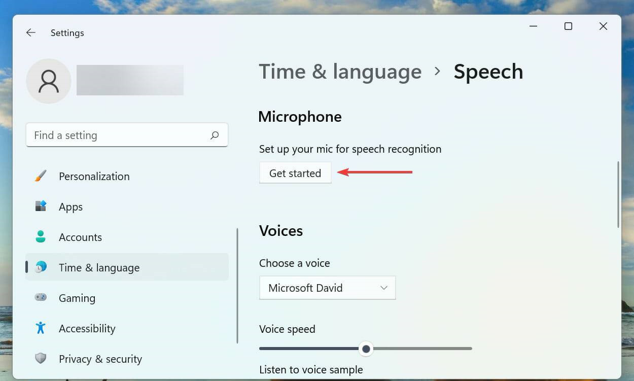 Win11无法使用语音输入怎么办？Win11语音输入没反应的解决教程