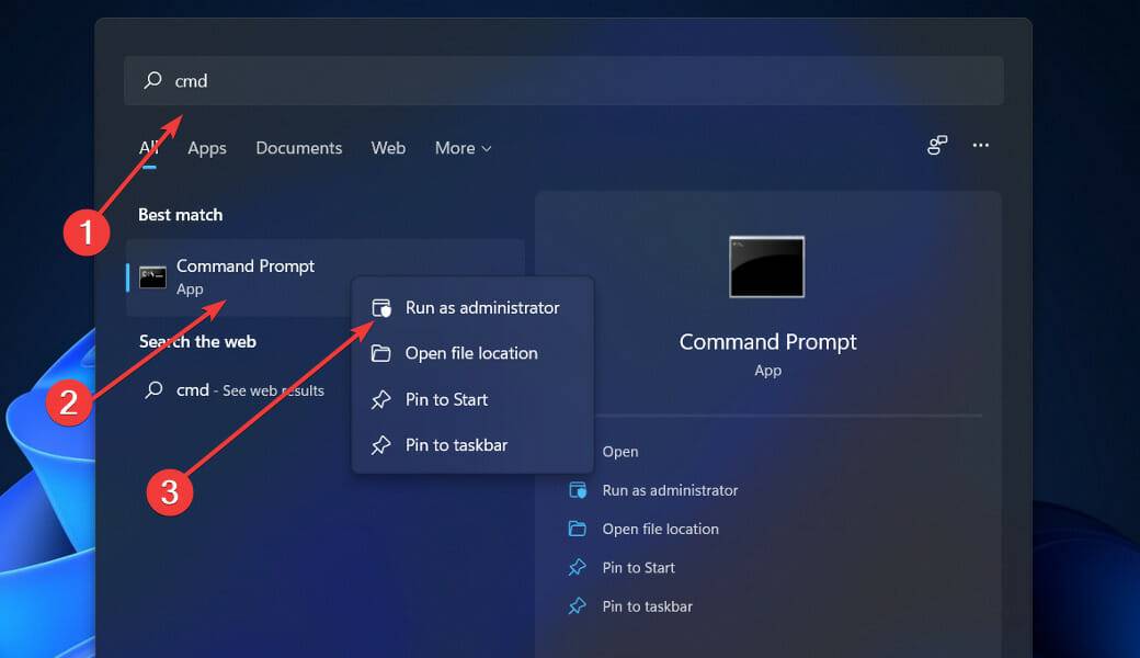 Win11系统崩溃出现VIDEO DXGKRNL错误该如何修复？