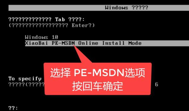 小白系统重装的教程图解