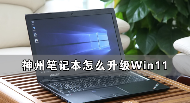 神州笔记本怎么升级Win11？神舟电脑升级Win11图文教程