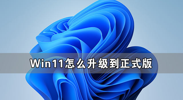 Win11如何升级到正式版？Win11升级正式版的方法