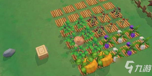 《摩尔庄园》太空变异农作物怎么种植 太空变异农作物种植方法_摩尔庄园手游