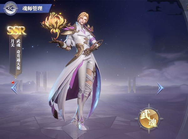 斗罗大陆魂师对决控制流阵容怎么玩？控制流阵容推荐攻略