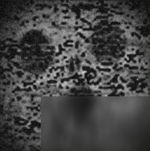 《脑叶公司》O-03-88 次元衍射变体如何镇压_脑叶公司