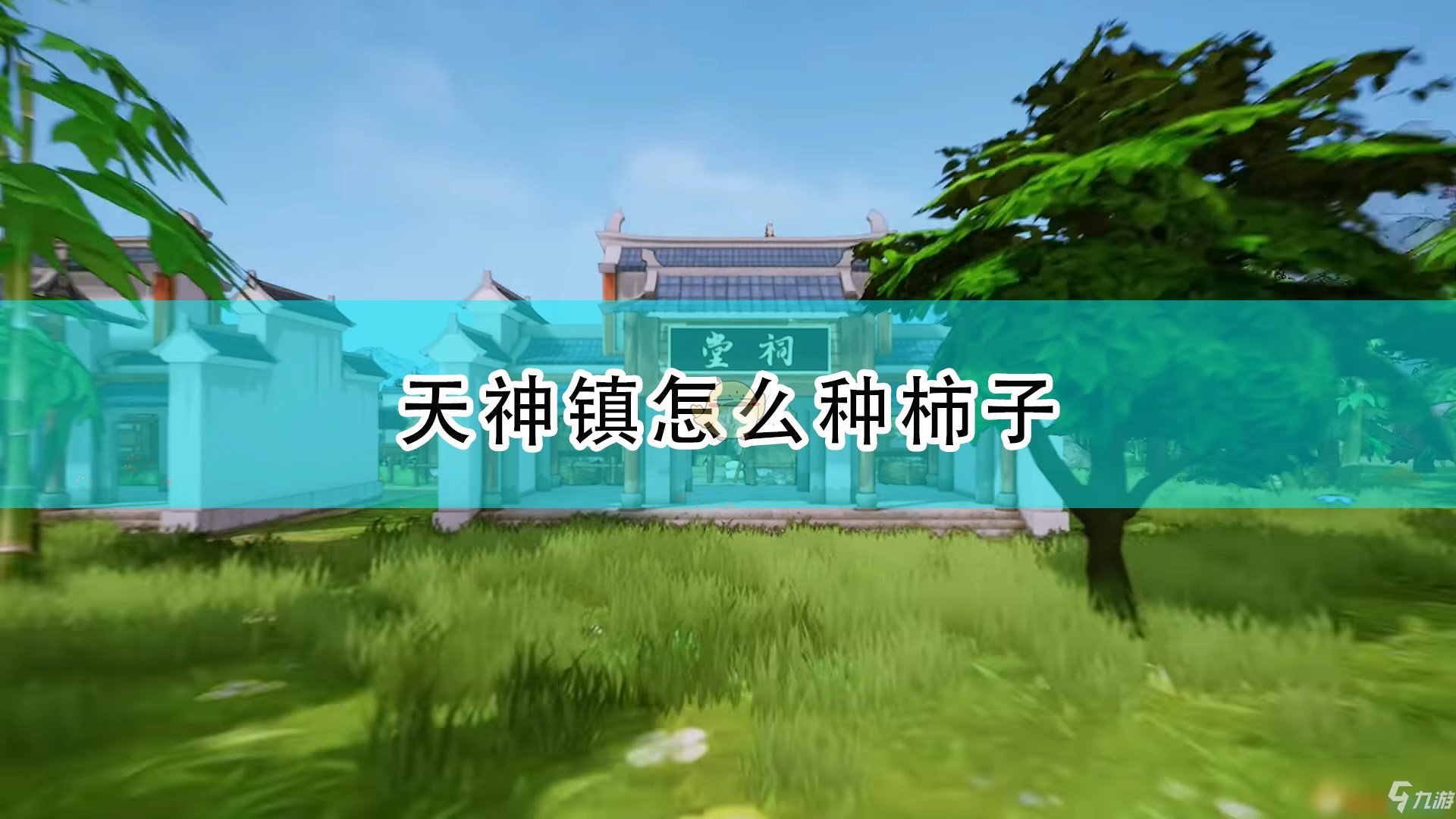 《天神镇》柿子种植心得介绍_天神镇