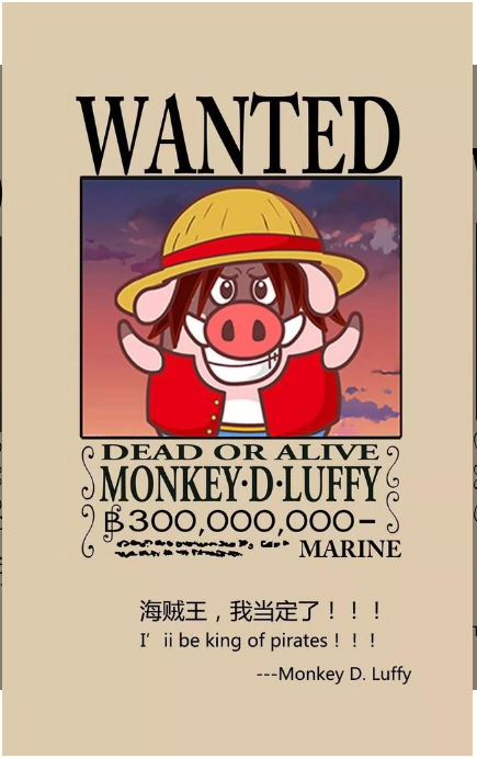 猪猪海贼好玩吗 猪猪海贼玩法简介_猪猪海贼