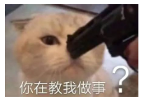 旭旭宝宝正式宣布停播！喜提梦想座驾奔驰大G引老婆不满：怎么我还是小电动！