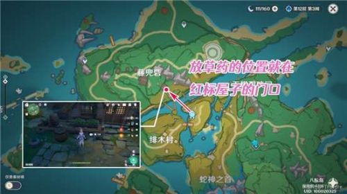 原神孤岛诊疗谭任务通关攻略大全